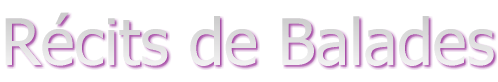 art55160937